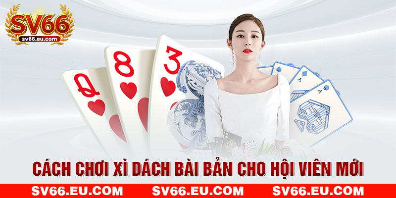 Cách chơi xì dách bài bản cho hội viên mới Cách chơi xì dách bài bản cho hội viên mới