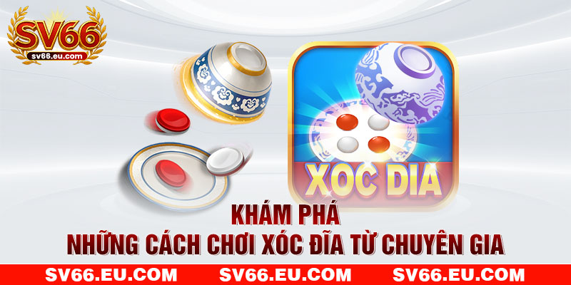 Khám phá những cách chơi xóc đĩa từ chuyên gia Khám phá những cách chơi xóc đĩa từ chuyên gia